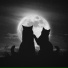 BlackCatCrew, MOONLIGHTBTA