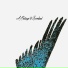 Sascha Reif