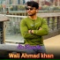 Wali Ahmad khan