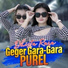 Dhista Rara