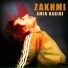 Amin Habibi
