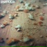 Pumuca
