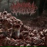 Visceral Explosion