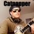 Catnapper