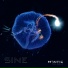 SINE