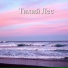 академия релаксационной медитации