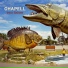 Chapell