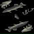 EBL M