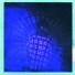 Votaries