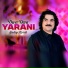 Sadiq Afridi