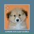 Relaxing Dog Music
