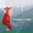 Paratime