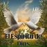 Congregación María De Jesús, Grupo Nueva Vida
