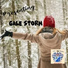 Gale Storm