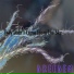 Dreedem