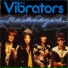 The Vibrators
