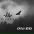 Kinga K