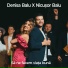 Denisa Balu, Nicușor Balu