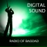 Digital Sound