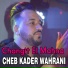 Cheb Kader Wahrani