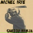 Michel Irie