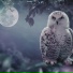 Deep Sleep Seekers