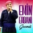Emin Erbani