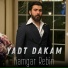 Kamgar Rebin