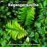 Gunnar Oberhausen, Rain Sounds, Nature Sounds
