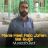 Mureed Buledi