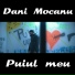 Dani Mocanu