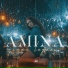Amina Efendic