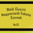 Bódi Guszti, Nagyecsedi Fekete szemek