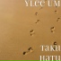 Ylee UM