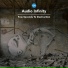 Audio Infinity