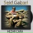 Seid Gabari