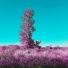 Zhivago Beats