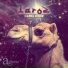 Laroz Camel Rider