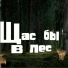 Лысый Чайник