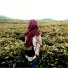 aisyah