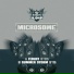 Microsome