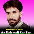 Shaheen Shah Bacha