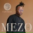 mezo feat. HerbsZA
