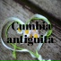 Los tigrillos
