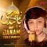 Saqlain Ansari Faisalabadi