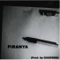 Piranya (PNY)