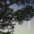 Sakumo