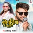 Awanish Babu, Shilpi Raj