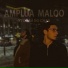 AMPLUA, Maloo