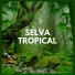 Sonidos De La Selva